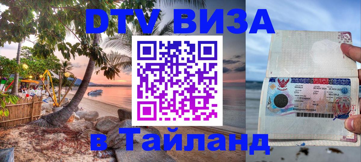 Оформление DTV визы под ключ: стоимость и тарифы, только загранпаспорт - 18.11.2025 